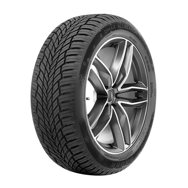 RADAR DIMAX ALLSEASON