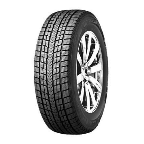 ROADSTONE WINGUARD ICE